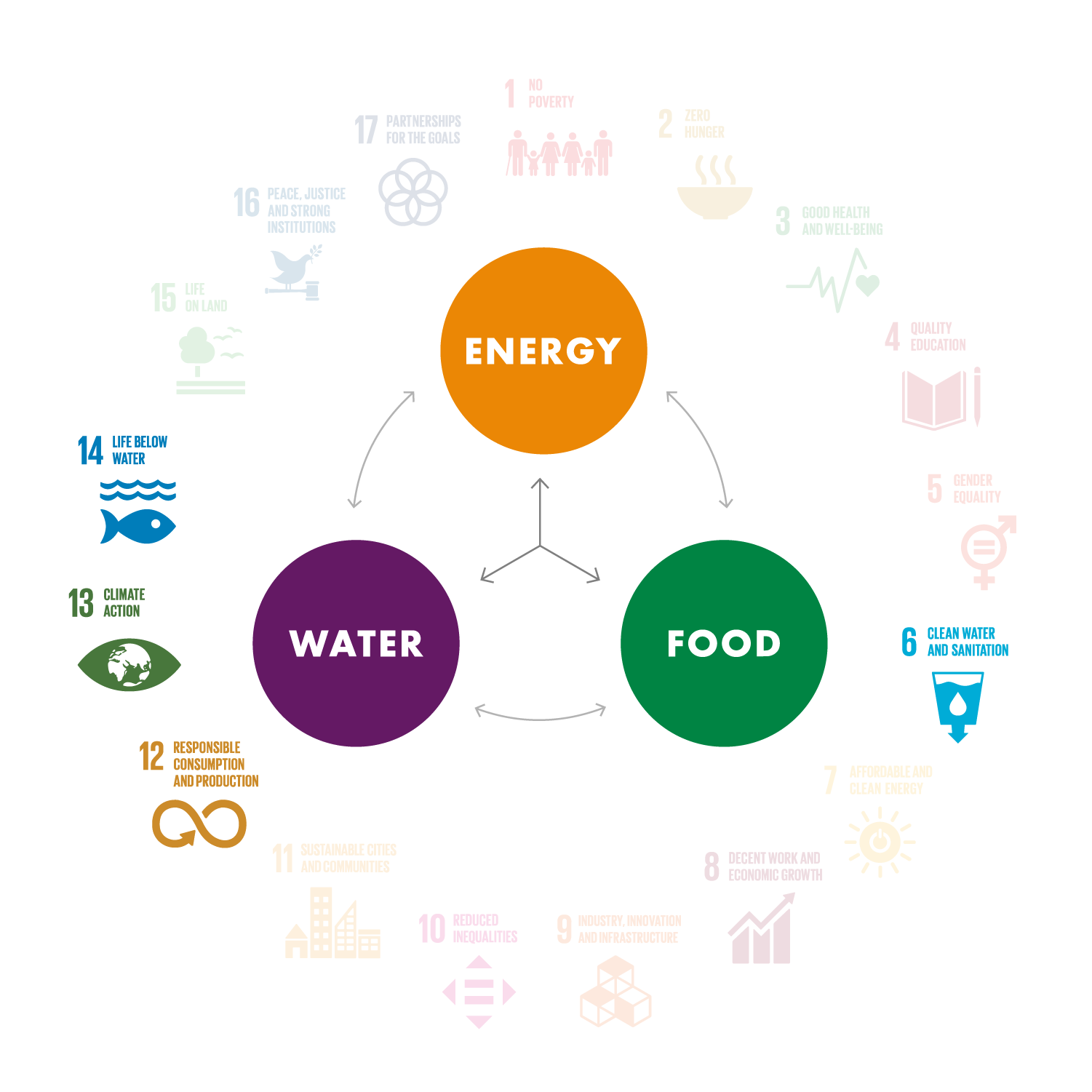 Reimagine waste cooking oil as soap | NXplorers